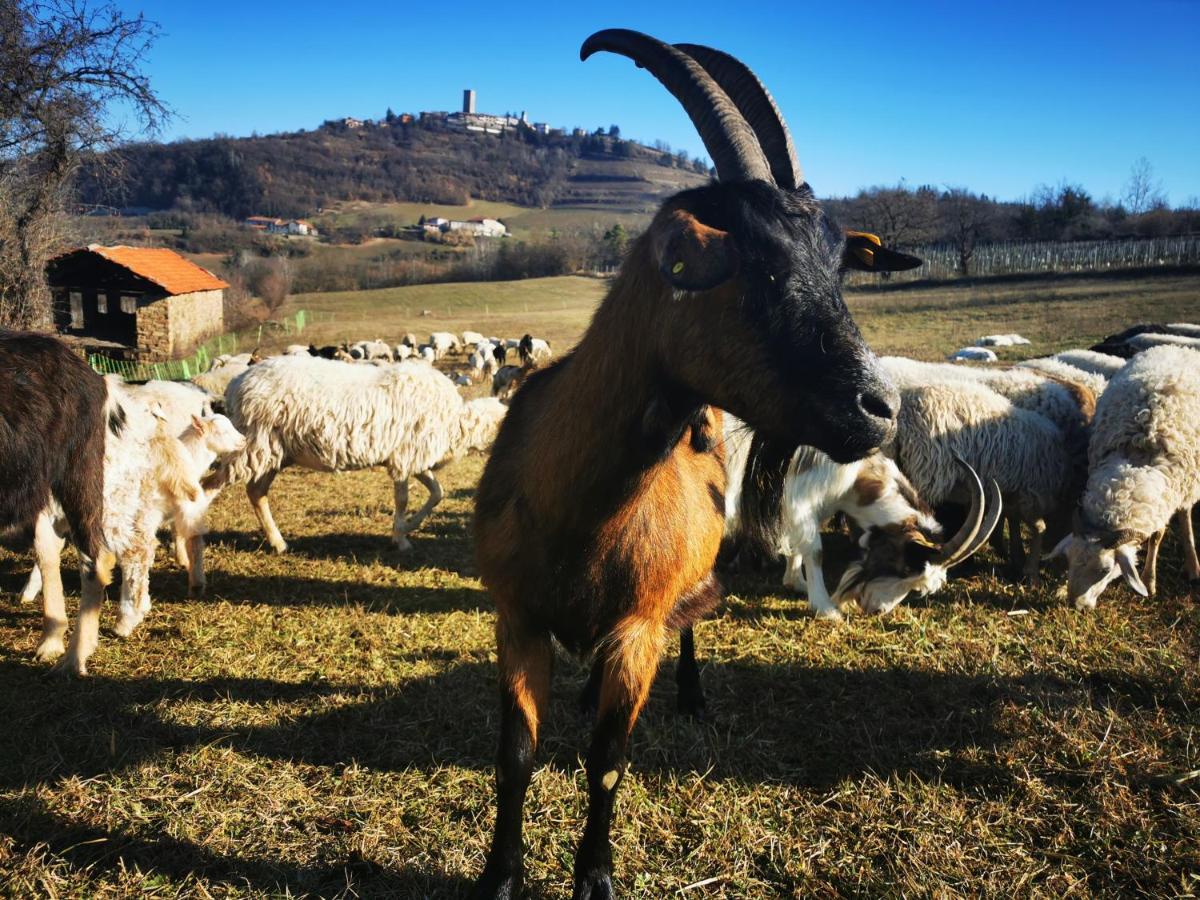 La Margherita Bauernhof *